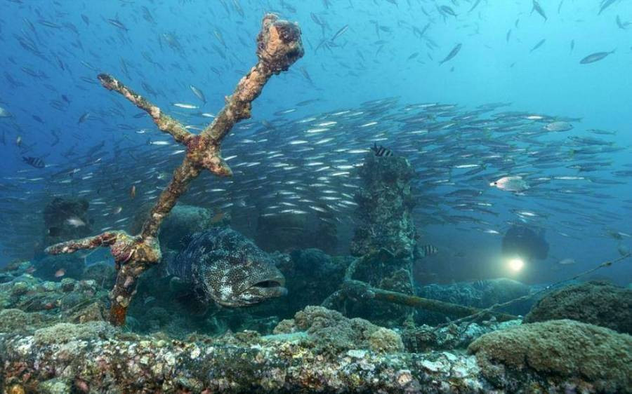 摄影师海底探险 揭秘大洋深处沉船之美