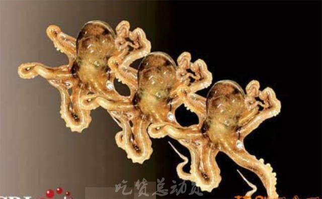 关于虫子美食的争论几时休,你是吃不吃呢?