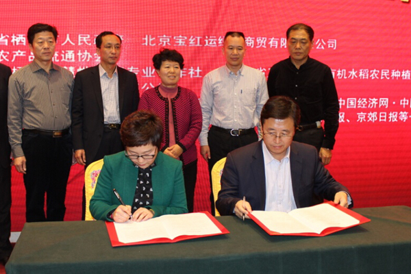 栖霞苹果联姻水果皇后 十三五50万吨供首都