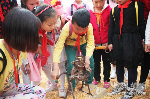 五谷杂粮手工粘贴画鱼