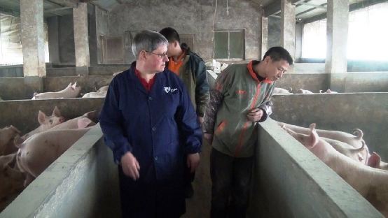 村淘宝正品农资假一赔十 外国专家指导养猪,