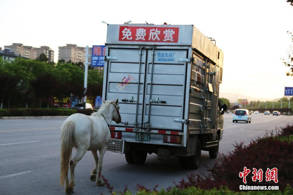 马戏团宣传车图片图片